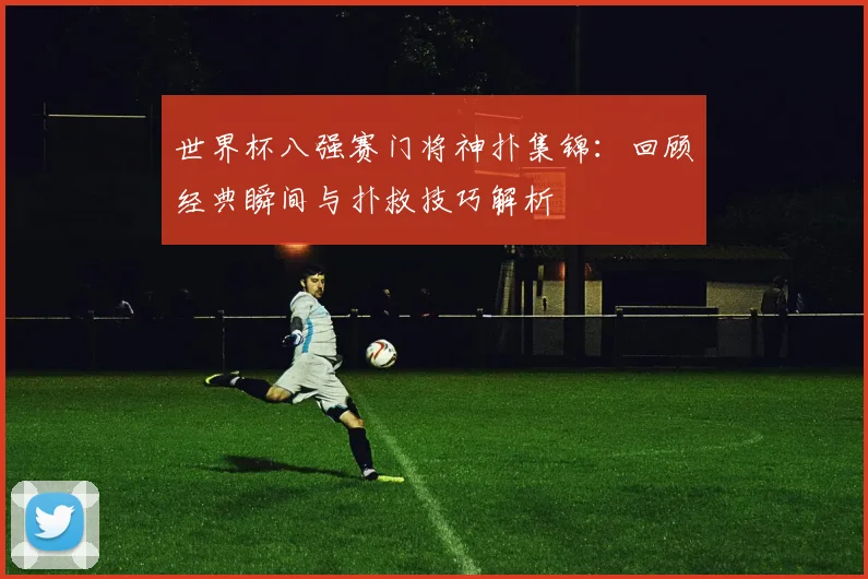 世界杯八强赛门将神扑集锦：回顾经典瞬间与扑救技巧解析