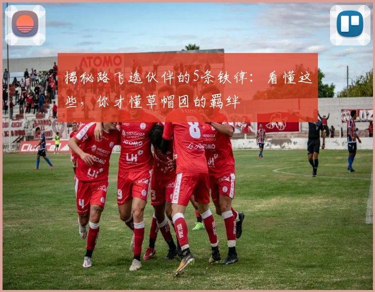 揭秘路飞选伙伴的5条铁律：看懂这些，你才懂草帽团的羁绊